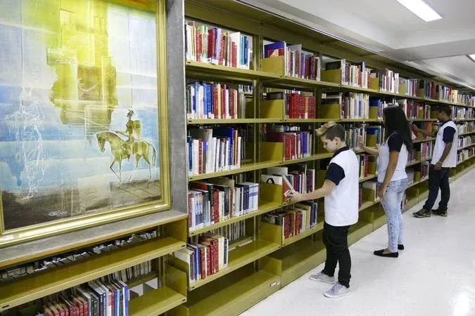 29 de outubro é o Dia Nacional do Livro