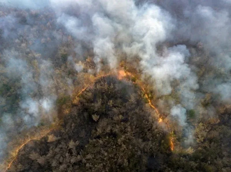 Queimadas na Amazônia acendem alerta para a saúde respiratória da população Queimadas na Amazônia acendem alerta para a saúde respiratória da população