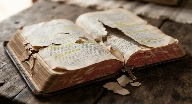 ARTIGO A minha Sagrada Escritura