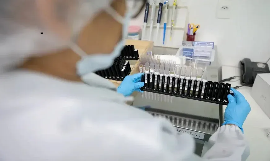 Anvisa autoriza teste em humanos de vacina brasileira contra a malária Anvisa autoriza teste em humanos de vacina brasileira contra a malária